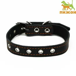 Ошейник кожаный на синтепоне, безразмерный, 54×2.5 см, ош 19-47 см, черный