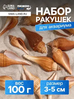 Набор ракушек, 3 - 5 см, 100 г Набор ракушек, 3 - 5 см, 100 г