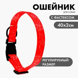 Ошейник one line, застежка - фастекс, 2 см 25-40 см Ошейник one line, застежка - фастекс, 2 см 25-40 см
