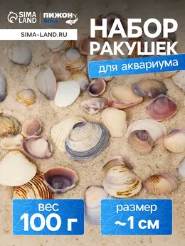 Набор ракушек rose petal tellin, 100 г Набор ракушек rose petal tellin, 100 г