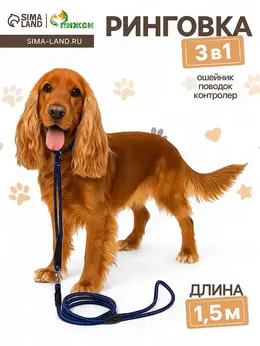 Ринговка для собак, 150×0.6 см, с вертлюгом, синяя, черная