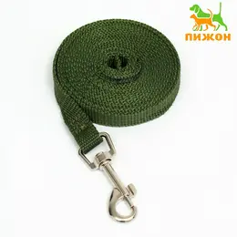 Поводок, 3 м, ширина 1.5 см, зеленый