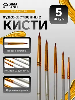 Набор кистей для рисования, синтетика, 5 штук: № 2, 6, 8, 10, 12, круглые, в блистере Набор кистей для рисования, синтетика, 5 штук: № 2, 6, 8, 10, 12, круглые, в блистере