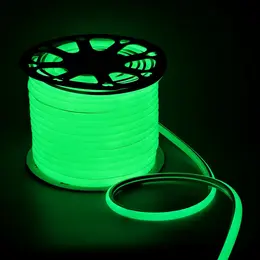 Гибкий неон 16 мм d-образный, ip65, 50 м, smd2835, 120 led/м, 220 в, свечение зеленое Гибкий неон 16 мм d-образный, ip65, 50 м, smd2835, 120 led/м, 220 в, свечение зеленое