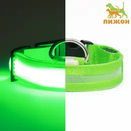 Ошейник с подсветкой, зарядка от usb, размер s, ош 34-41 см, 3 режима, зеленый Ошейник с подсветкой, зарядка от usb, размер s, ош 34-41 см, 3 режима, зеленый