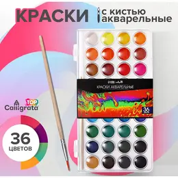 Краски акварельные 36 цветов, круглые, диаметр кюветы 23 мм, с кистью, пластиковый пенал, calligrata top Краски акварельные 36 цветов, круглые, диаметр кюветы 23 мм, с кистью, пластиковый пенал, calligrata top
