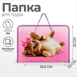 Папка для труда, а4, пластиковая, 32.5×23×2.5 см