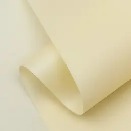 Пленка матовая для цветов и букетов, pastel, крем 0.59×7 м 180 г Пленка матовая для цветов и букетов, pastel, крем 0.59×7 м 180 г