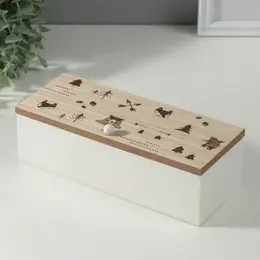 Шкатулка для чая с делениями Шкатулка для чая с делениями