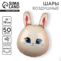 Воздушные шары фольгированные 31