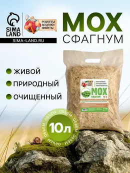 Мох сфагнум