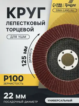 Круг лепестковый торцевой , 125×22 мм, р100 Круг лепестковый торцевой , 125×22 мм, р100
