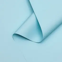 Пленка для цветов тонированная, матовая, голубой, 0.5×10 м ±1 см, 65 мкм Пленка для цветов тонированная, матовая, голубой, 0.5×10 м ±1 см, 65 мкм
