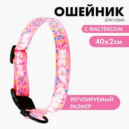 Ошейник Ошейник