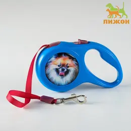 Рулетка с принтом