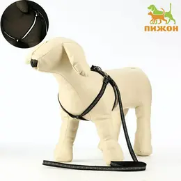 Шлейка с поводком Шлейка с поводком