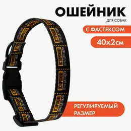 Ошейник Ошейник