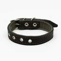 Ошейник комбинированный кожа/брезент, безразмерный, 54×2.5 см, ош 17-45 см, черный