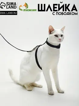 Комплект для кошек, ширина 1 см, ош 16.5-27 см, ог 21-35 см, поводок 120 см, черный Комплект для кошек, ширина 1 см, ош 16.5-27 см, ог 21-35 см, поводок 120 см, черный