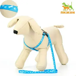 Шлейка с поводком