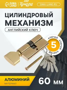 Цилиндровый механизм, 60 мм, с вертушкой, английский ключ, 5 ключей, цвет золото Цилиндровый механизм, 60 мм, с вертушкой, английский ключ, 5 ключей, цвет золото