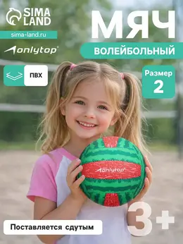 Волейбольный мяч