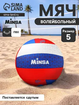 Волейбольный мяч