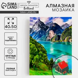 Алмазная мозаика с полным заполнением на холсте