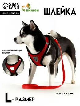 Шлейка с поводком, размер l, ош 33 см, ог 36-48 см, со светоотражающей нашивкой, мягкая, красная