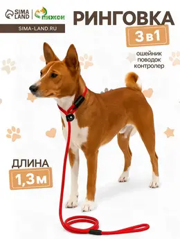 Ринговка для собак, 130×0.8 см, красная Ринговка для собак, 130×0.8 см, красная