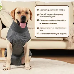 Попона послеоперационная, размер xs, ог 45-54, от 33-38 см, вес 14-20 кг, полиэстер, спандекс, серая Попона послеоперационная, размер xs, ог 45-54, от 33-38 см, вес 14-20 кг, полиэстер, спандекс, серая