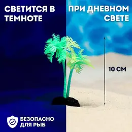 Растение для аквариума и террариума Растение для аквариума и террариума