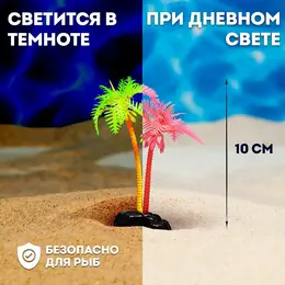 Растение для аквариума и террариума Растение для аквариума и террариума