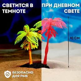 Растение для аквариума и террариума Растение для аквариума и террариума