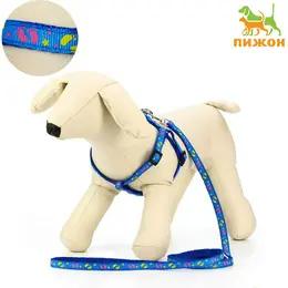 Шлейка с поводком