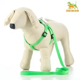 Шлейка с поводком