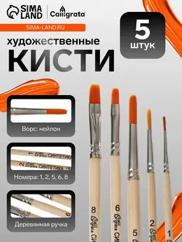 Набор кистей для рисования, синтетика, 5 штук: №: 1, 2, 5 (круглые), № 6, 8 (плоские), , круглые, плоские, деревянная ручка, в пакете