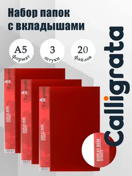 Набор папок а5, 20 вкладышей, , карман на корешке, красные, 3 штуки