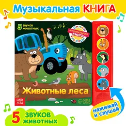 Книжка с музыкальным чипом Книжка с музыкальным чипом