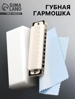 Губная гармошка t008l c диатоническая, 10 отверстий, с футляром Губная гармошка t008l c диатоническая, 10 отверстий, с футляром