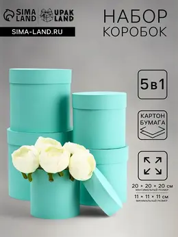 Набор шляпных подарочных коробок 5 в 1 Набор шляпных подарочных коробок 5 в 1