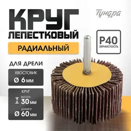 Круг лепестковый радиальный , 60×30×6 мм, р40