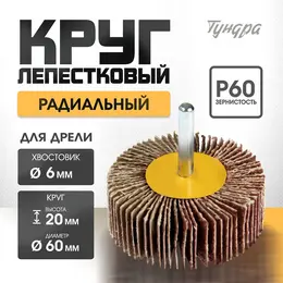Круг лепестковый радиальный , 60×20×6 мм, р60 Круг лепестковый радиальный , 60×20×6 мм, р60