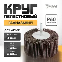 Круг лепестковый радиальный , 80×40×6 мм, р60 Круг лепестковый радиальный , 80×40×6 мм, р60