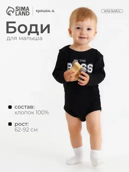 Боди