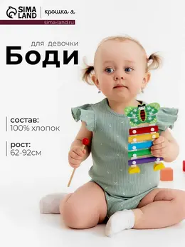 Боди