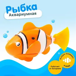 Аквариумная рыбка Аквариумная рыбка