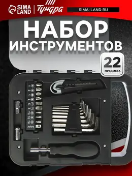 Набор инструментов , пластиковый кейс, 22 предмета