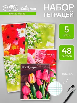 Набор тетрадей 48 листов в клетку,