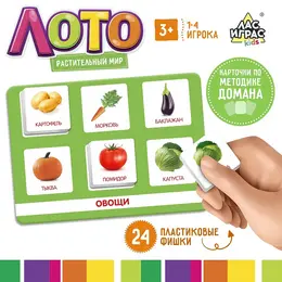 Лото Лото